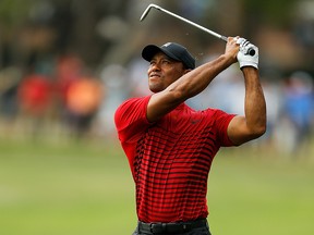 Tiger Woods plays his second shot on the 16th hole during the final round of the Valspar Championship at Innisbrook Resort Copperhead Course on March 11, 2018 in Palm Harbor, Florida. (Michael Reaves/Getty Images)