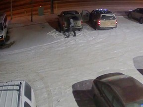 Video shows Edmonton fuel thief drilling holes in vehicle gas tanks.Screen shot