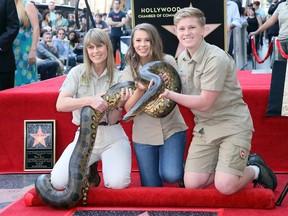 L-R) Conservationists/TV personalities Terri Irwin, Bindi Irwin and Robert Irwin attend Steve Irwin being honored posthumously with a Star on the Hollywood Walk of Fame on April 26, 2018 in Hollywood, California.