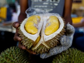 In this Nov. 25, 2017, file photo, a cut Musang King durian is shown by a vendor during the International Durian Cultural Tourism Festival in Bentong, Malaysia. The pungent smell of the rotten durian fruit at the Royal Melbourne Institute of Technology university campus library in Melbourne, Australia, on Saturday, April 28, 2018, was mistaken for a gas leak, prompting an evacuation of the building. Specialist crews wearing masks searched the library, but all they found was rotting durian in a cupboard. About 600 staff and students cleared the building.