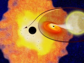 This illustration provided by Columbia University shows the supermassive black hole Sagittarius A, located at the center of the Milky Way Galaxy, surrounded by a cloud of dust and gas within which are 12 smaller black holes, and a closeup of one of the systems. The enlarged section illustrates how the 12 black holes are each accompanied by a star in a binary orbit. Gasses from the partner star are pulled into a disk around the black hole. (Columbia University via AP)