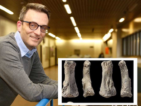 Western University professor Jay Stock helped identify the oldest human bones, inset, ever found outside Africa.