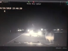 A cow is seen in this screengrab of a police dashcamera video shortly after it charged at a deputy in Texas. (
Harris County Constable Pct. 3 - Constable Sherman Eagleton/Facebook)