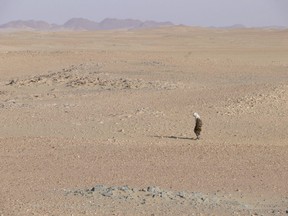 A man searches for a meteorite that landed in Sudan's Nubian Desert in 2008. (NASA photo)