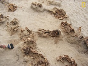 This April 22, 2011 handout photo provided by National Geographic shows more than a dozen bodies preserved in dry sand for more than 500 years, at the Huanchaquito-Las Llamas site near Trujillo, Peru. Researchers reported that, "except for three adult burials (two females and one male), all the human skeletal remains were of children, ranging in age from approximately five to fourteen years, with the majority falling in the range of eight to twelve years of age."