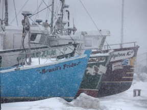 Snow falls in St. John's, N.L., on Tuesday, February 14, 2017. Parts of Newfoundland are bracing for a spring snow storm, with more than 30 centimetres expected in some areas.