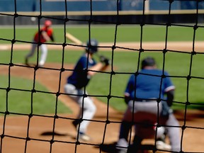 A baseball net protecting viewers from foul balls is pictured in this file photo. (Getty Images)