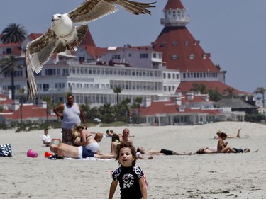 FILE - In this May 22, 2012, file photo, a child chases a sea gull on Coronado Beach in Coronado, Calif. Coronado Beach is No. 9 on the list of best beaches for the summer of 2018 compiled by Stephen Leatherman, also known as Dr. Beach, a professor at Florida International University.