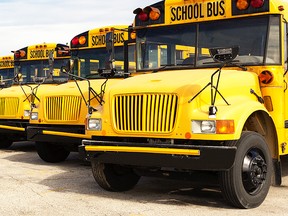 school buses