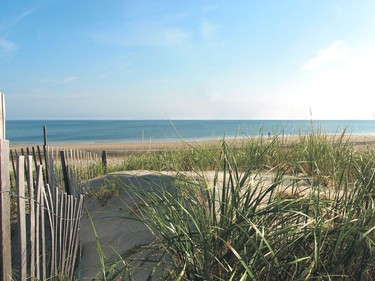 This undated photo provided by the Cape Cod Chamber of Commerce shows Coast Guard Beach on Cape Cod in Massachusetts. Coast Guard Beach is No. 5 on the list of best beaches for the summer of 2018 compiled by Stephen Leatherman, also known as Dr. Beach, a professor at Florida International University.