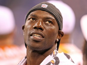 Terrell Owens of the Cincinnati Bengals watches from the sidelines during an NFL preseason game against the Indianapolis Colts at Lucas Oil Stadium on September 2, 2010. (Andy Lyons/Getty Images)