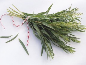 Fresh bouquet of tarragon - Getty image