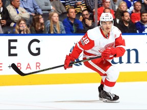 Robbie Russo of the Detroit Red Wings makes his NHL debut during an NHL game against the Toronto Maple Leafs at Air Canada Centre on March 7, 2017 in Toronto. (Vaughn Ridley/Getty Images)