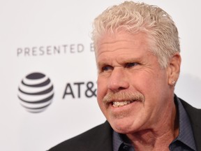 Ron Perlman attends a screening of "To Dust" during the 2018 Tribeca Film Festival at SVA Theatre on April 22, 2018 in New York City.  (Mike Coppola/Getty Images for Tribeca Film Festival)