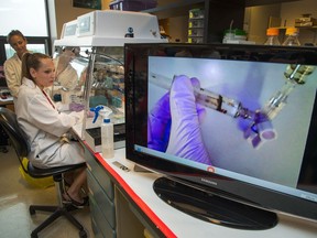 Veronika Sedlakova, a post doctoral fellow and researcher at the University of Ottawa Heart Institute, demonstrates how their lab is developing new ways of repairing heart tissue prior to a press conference where federal funding was announced at the Ottawa Heart Institute which will include some ways artificial intelligence can be used to improve health treatment.