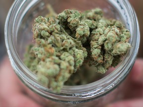 A vendor displays marijuana for sale during the 4-20 annual marijuana celebration, in Vancouver, B.C., on Friday April 20, 2018. (The Canadian Press/Darryl Dyck)