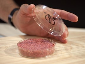 In this handout image provided by Ogilvy, a burger made from cultured beef, which has been developed by Professor Mark Post of Maastricht University in the Netherlands is shown to the media during a press conference on August 5, 2013 in London, England. (Photo by David Parry via Getty Images)
