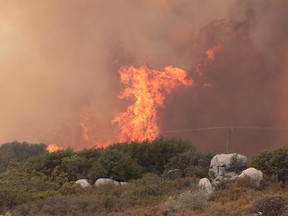 Smoke and flames cloud the skies over Highway 243, south of Idyllwild, Calif., Wednesday, July 25, 2018. (Richard Lui/The Desert Sun via AP)