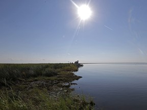 In this Sept. 27, 2013 file photo, the shoreline of Bay Jimmy, which was heavily impacted by the Deepwater Horizon oil spill, is seen in an area that has tar mats and oozing crude oil on the marsh platform, in Plaquemines Parish, La.  (AP Photo/Gerald Herbert, File)