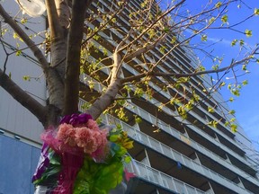 The highrise at 421 MacLaren St. where Ahmad Afrah fell from a 16th floor balcony on May 15, 2017.