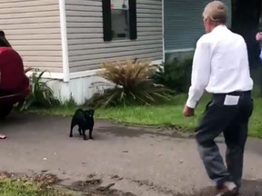Owner Donald Murray is reunited with Guido in this screengrab from a video posted by the Hillsboroough County Sheriff's Office.
