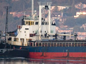 Members of the RCMP are seen standing on the deck and bridge of the MV Sun Sea as it is escorted into CFB Esquimalt, adjacent to the western limit of Victoria, Friday, Aug. 13, 2010. The MV Sun Sea carried nearly 500 Tamil migrants to Canada eight years ago, but now the rusting cargo ship sits forlornly on the B.C. coast â€" an unwanted vessel of toxins including asbestos, PCBs and mould, documents reveal.