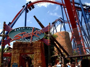 Sheikra Roller coaster at Busch Gardens amusement park on June 23, 2006 in Tampa, Florida.  (Gustavo Caballero/Getty Images)