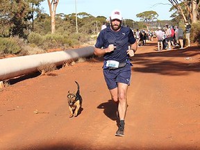 A dog called Stormy competing in the Goldfields Pipeline marathon near Kalgoorlie on July 29, 2018. (Rhea Wholey/Getty Images)