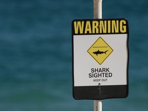 A shark warning sign on the beach in the northern New South Wales city of Newcastle on Jan. 17, 2015.