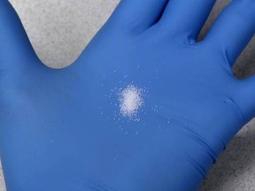 As little as as little as 20 micrograms of Carfentanil, an amount equal to a single grain of salt, can be deadly to humans.