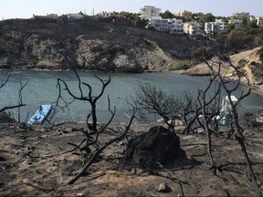 People swim at a beach in Rafina, east of Athens, Wednesday, Aug. 1, 2018, 10 days after the wildfire.