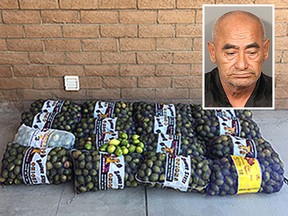 Dionicio Fierros was arrested in Southern California after deputies allegedly found about 800 pounds (363 kilograms) of stolen lemons inside his car. (Riverside County Sheriff's Department photos)