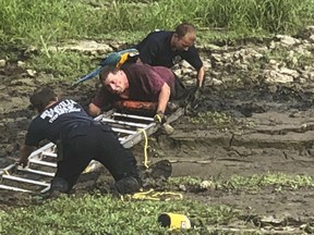 A man is rescued from deep mud after he became stuck while trying to reach his pet parrot at Bicentennial Park in Belleville, Ill., on Sunday, Aug. 12, 2018. (Tom Pour/Belleville Fire Department via AP)
