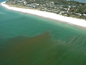 In this aerial view shows Coquina Beach, Fla., with an algae bloom off shore in this Aug. 23, 2006 file photo. (AP Photo/Tampa Tribune-News Channel 8, Paul Lamison, FILE)