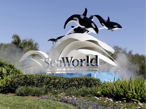 In this Jan. 31, 2017, file photo, the entrance to Sea World is seen, in Orlando, Fla.