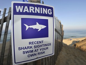 A sign warns visitors to Long Nook Beach of recent shark sightings, Wednesday, Aug. 15, 2018 in Truro, Mass. (Merrily Cassidy/The Cape Cod Times via AP)