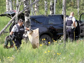 RCMP investigate after a motorist was shot while driving on Highway !a near Morley and than ended up in a cluster of trees on Thursday August 2, 2018.