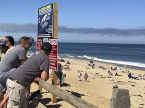 People look out at the shore after a reported shark attack at Newcomb Hollow Beach in Wellfleet, Mass, on Saturday, Sept. 15, 2018. A man boogie boarding off the Cape Cod beach was attacked by a shark on Saturday and died later at a hospital, becoming the state's first shark attack fatality in more than 80 years.