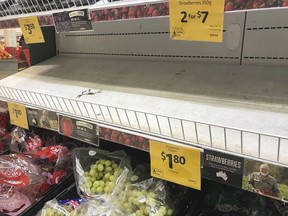 In this Sept. 14, 2018, photo, empty shelves, normally stocked with strawberry punnets, are seen at a Coles Supermarket in Brisbane. Public fears about sewing needles concealed inside strawberries on supermarket shelves have spread across Australia and New Zealand as growers turn to metal detectors and the Australian government launches an investigation to restore confidence in the popular fruit.(Dan Peled/AAP Image via AP) ORG XMIT: TKSK801