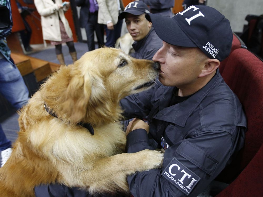 Colombia retires aging sniffer dogs in emotional ceremony