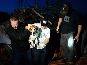 A beagle named Charlie is rescued after being found under a pile of debris after a tornado touched down in Dunrobin, Ont., west of Ottawa, on Friday, Sept. 21, 2018. (THE CANADIAN PRESS/Sean Kilpatrick)