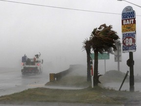 A work truck drives on Hwy 24 as the wind from Hurricane Florence blows palm trees in Swansboro N.C., Thursday, Sept. 13, 2018.