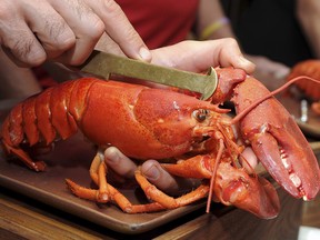 Guests learn how to measure the body of a Maine Lobster is measured Monday, Sept. 18 2017 in New York. (THE CANADIAN PRESS/AP-Diane Bondareff/AP Images for Maine Lobster Marketing Collaborative)