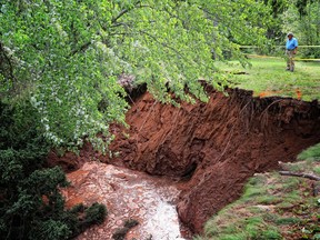 A man looks at a sinkhole in Oxford, N.S.