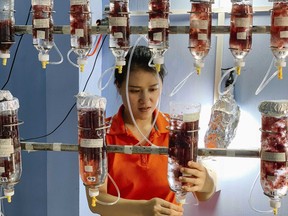 In this Sept. 27, 2018, photo provided by Green Grazing, Australis Aquaculture employee Khanh Huynh checks on seaweed cultures, near Ninh Hai, Vietnam. (Josh Goldman/Green Grazing via AP)