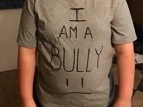 I Am A Bully Shirt Bully Shaming T-Shirt I Am A Bully Shirt Bully Shaming T-Shirt