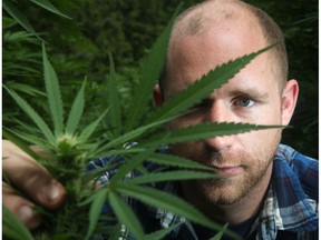 Mark Spear, a 34-year-old Ottawa native who has worked in the cannabis industry since 2014, wants to convert a 225-acre farm near Burnstown into a 'canna-tourism' complex that will grow over 100,000 cannabis plants outside by 2020.