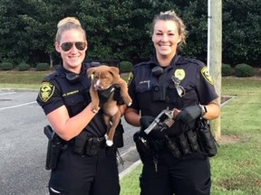 Officer Misty Edwards and Officer Ashley Allen of the Greenville police department pose with Ryder and the gun she dug up. (Facebook photo)