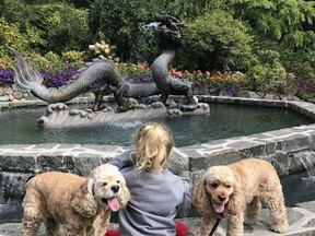 The Butchart Gardens has 22 hectares of lush green space to discover and the added bonus of allowing visitors to bring their dogs with them. (Kim Pemberton/Special to Postmedia)