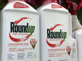 This Jan. 26, 2017 file photo shows containers of Roundup, a weed killer made by Monsanto, on a shelf at a hardware store in Los Angeles.
